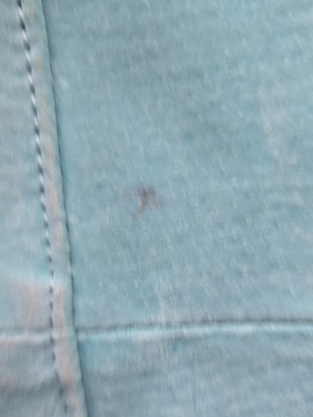 Suede Button-Front Blazer - Picture 5 of 5
